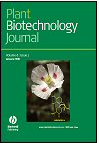  Plant Biotechnology Journal
