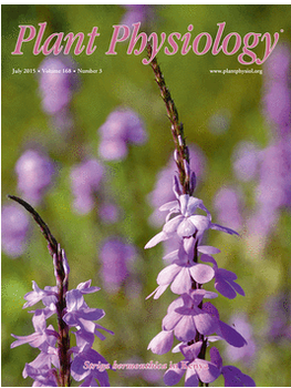 June 9th News! The new website of EJournal.net is available online.