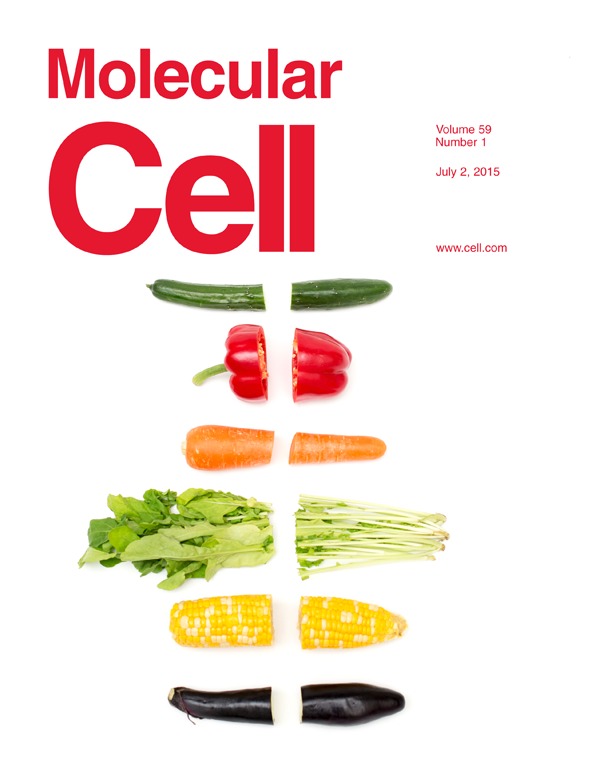   Molecular Cell 